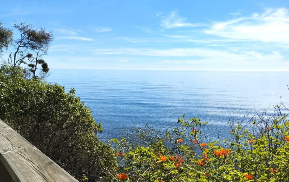 Los 20 km de pasarela de madera junto al mar de Estepona